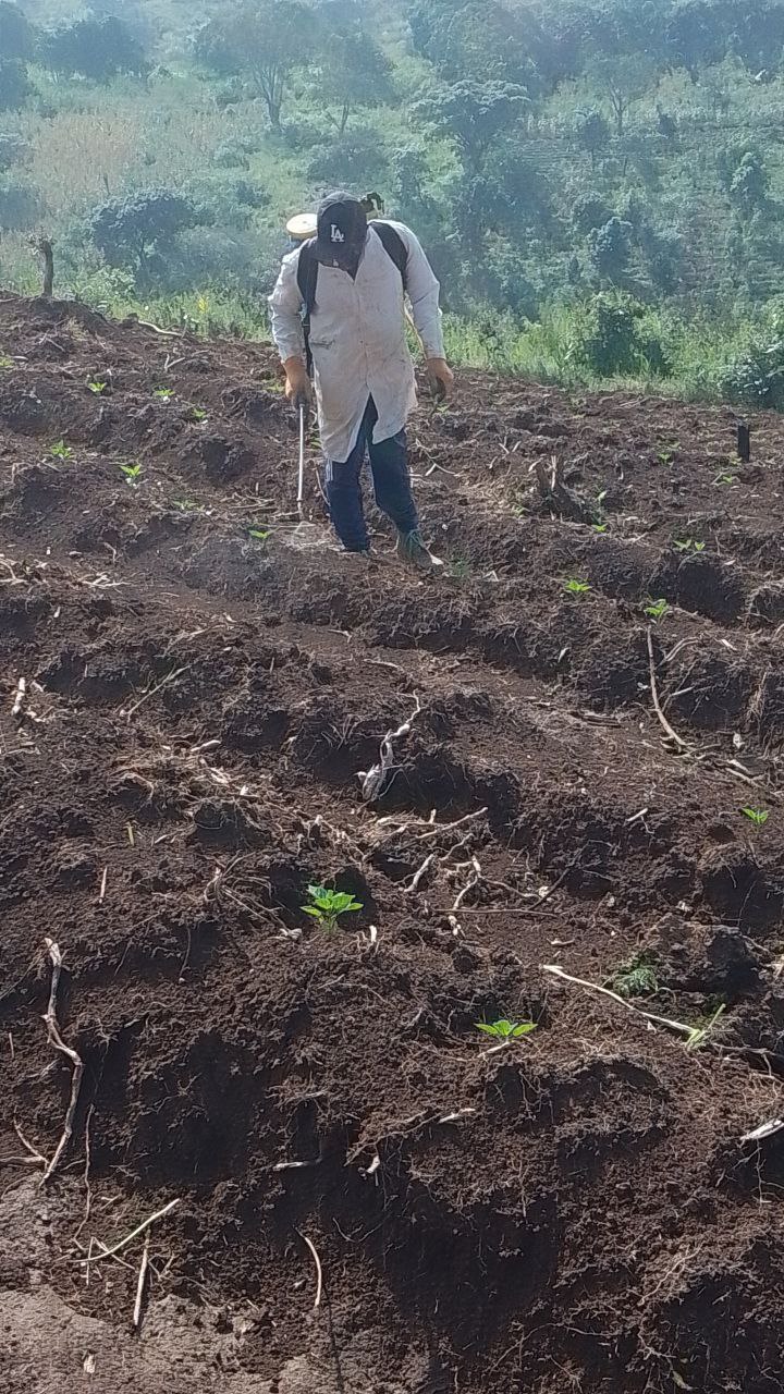 Agriculture